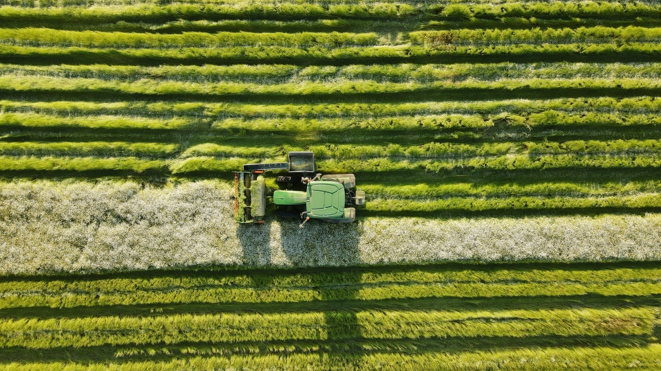 Foto aeree dei campi agricoli